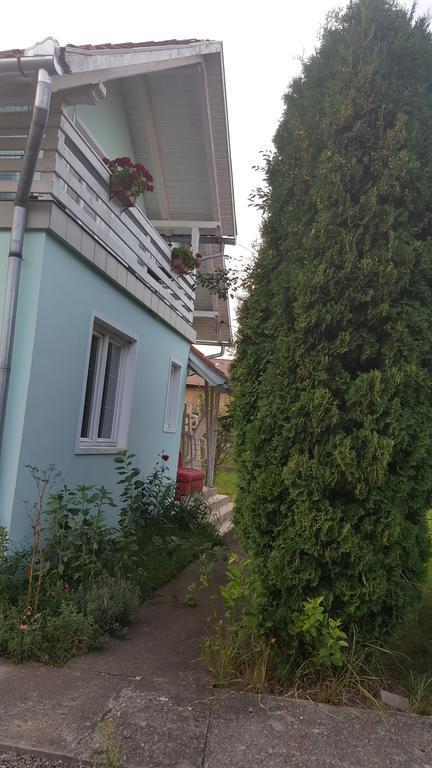 Villa Casa Cristina Sovata Esterno foto